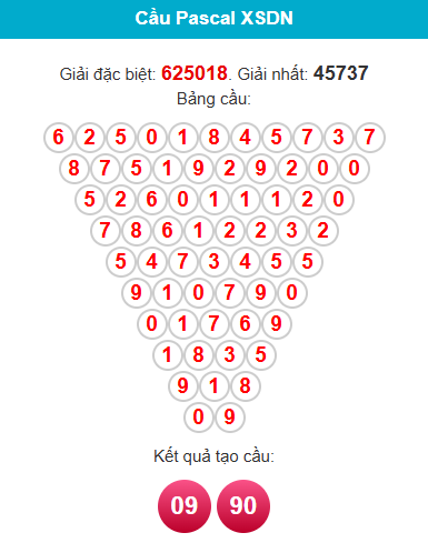 pascal-dong-nai-ngay-03-12